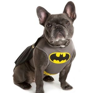 Happy Halloween! Batman Dog Costume